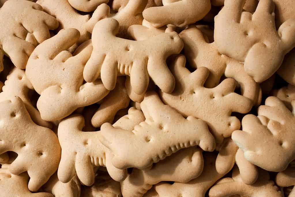 are animal crackers bad for dogs