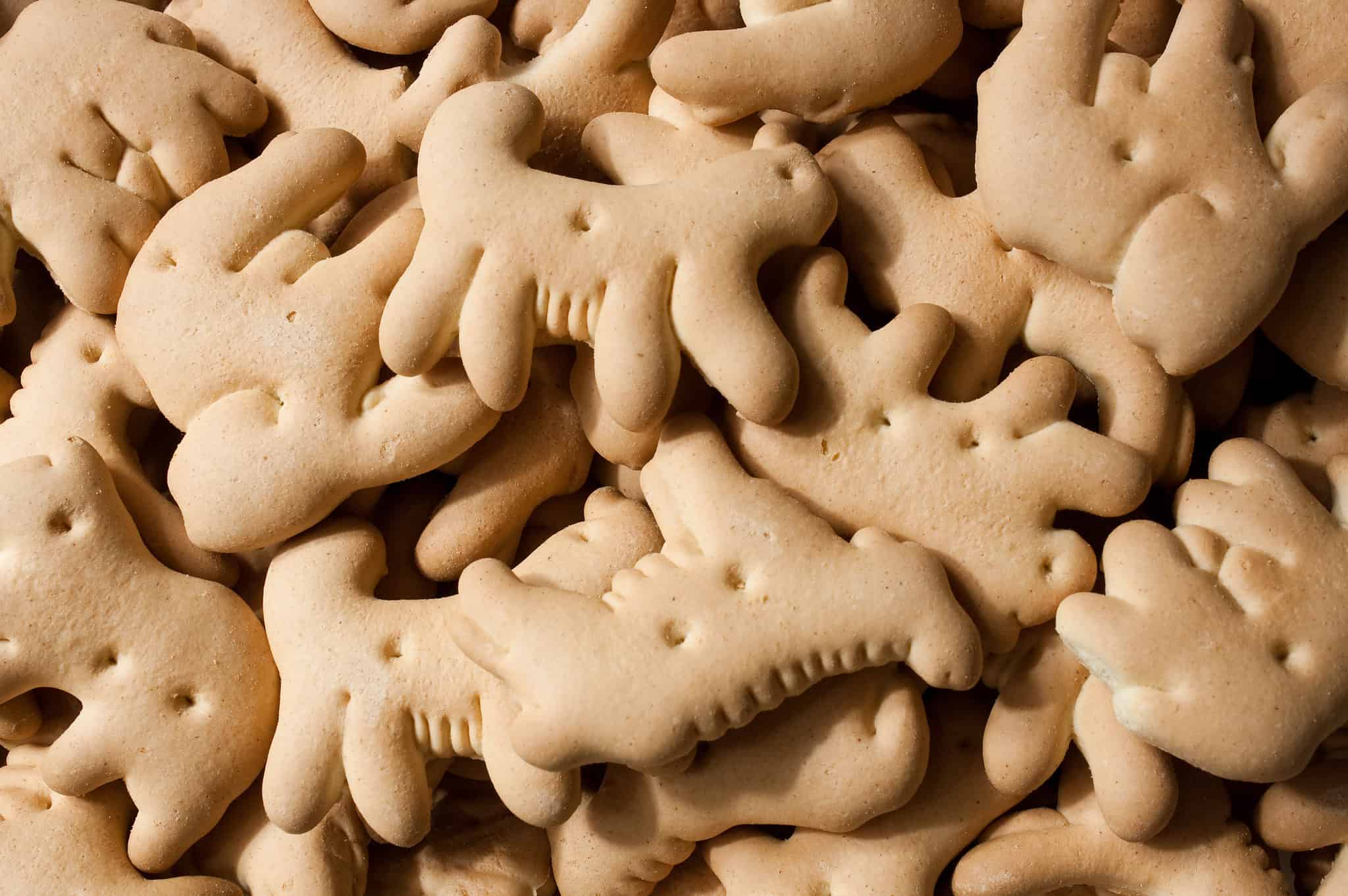 Can Dogs Eat Animal Crackers? AZ Animals