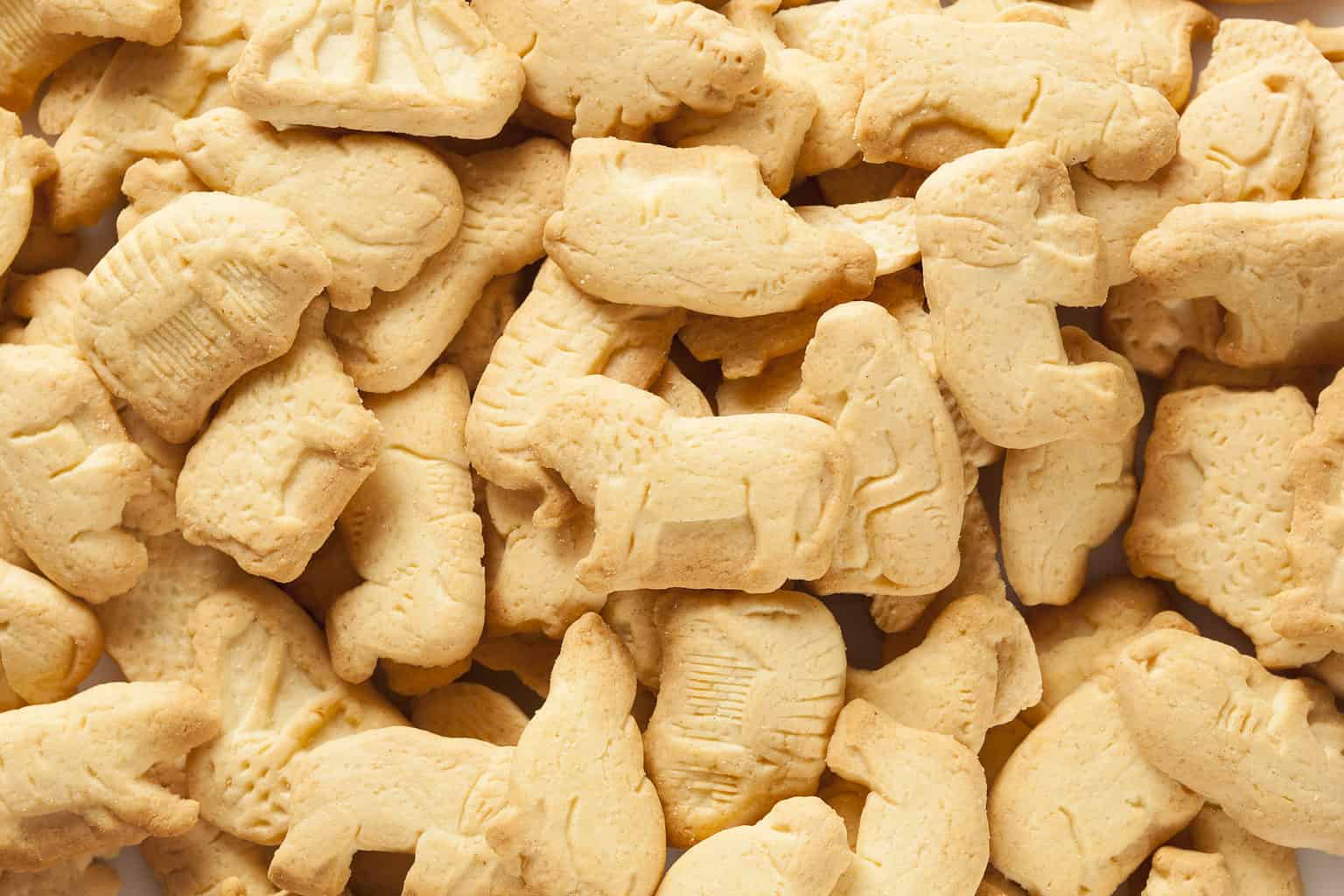 Can Dogs Eat Animal Crackers A Z Animals   IStock 180889257 1536x1024 