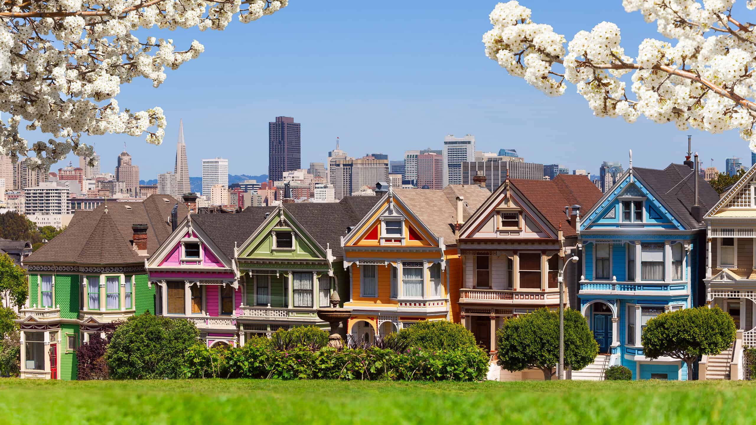 San Francisco is picturesque when the spring cherry blossoms are in bloom.