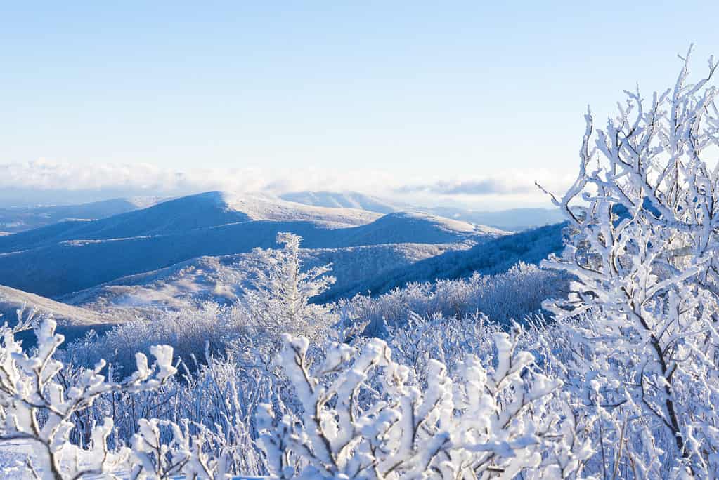 Appalachian Trail in the winter snow