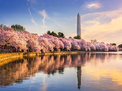A The 8 Largest City Parks in Washington, D.C.