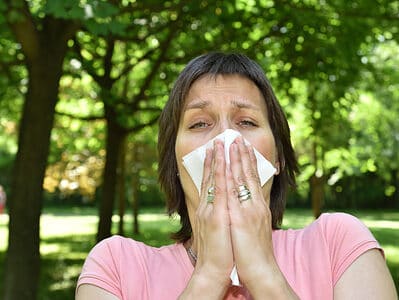 A Allergies In Houston: Everything To Know