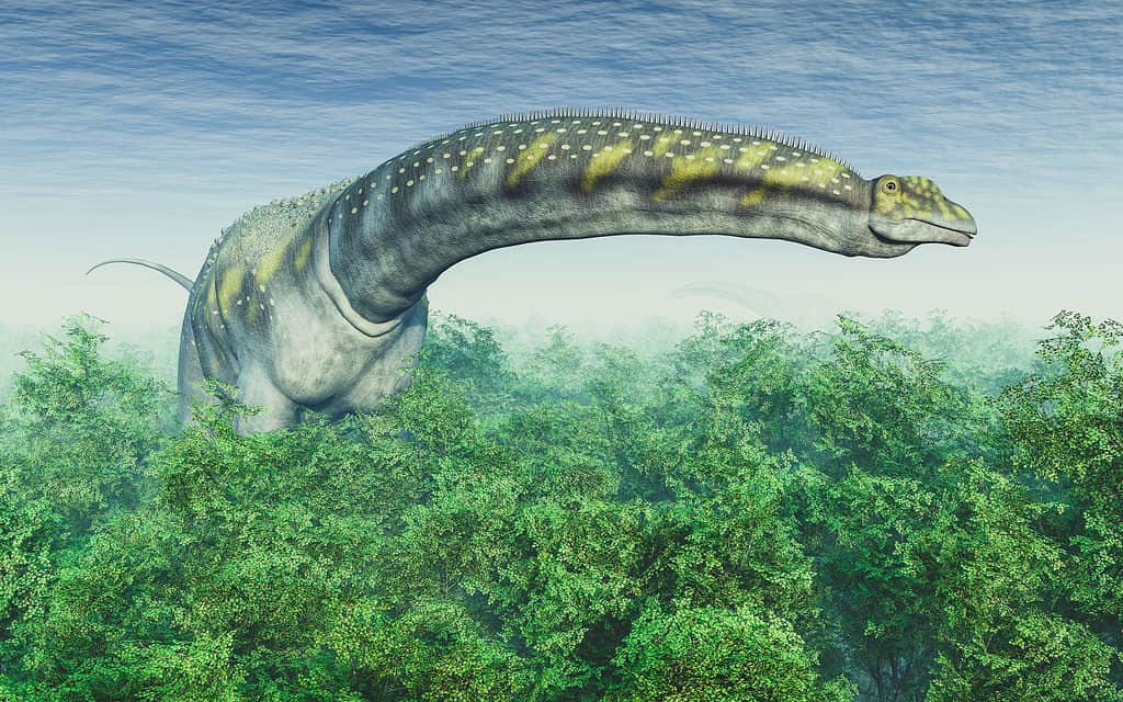 Argentinosaurus, Dinosaur, Animal, Digitally Generated Image, Extinct
