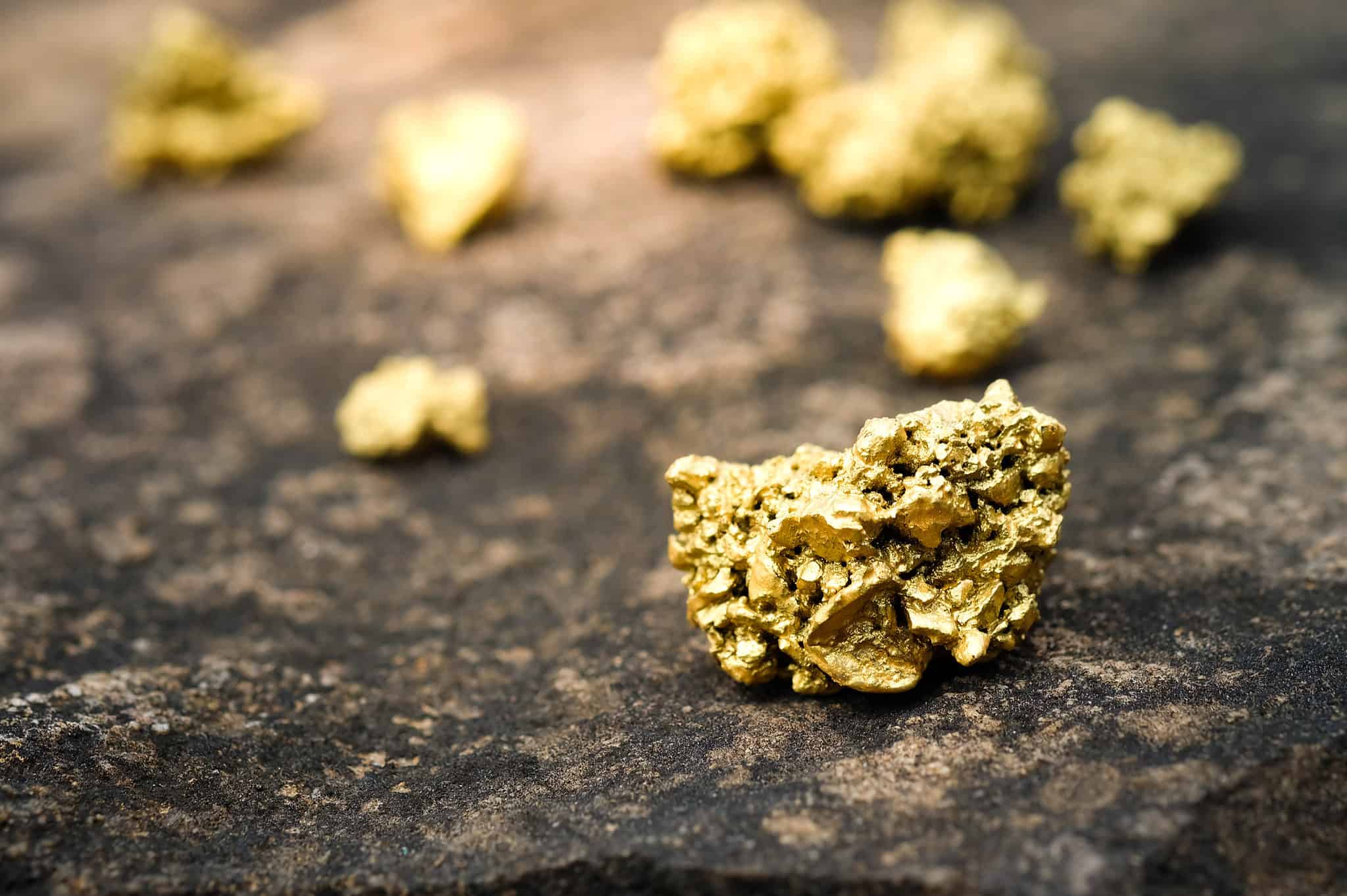 Discover the Largest Gold Nugget Ever Found in North Carolina AZ Animals