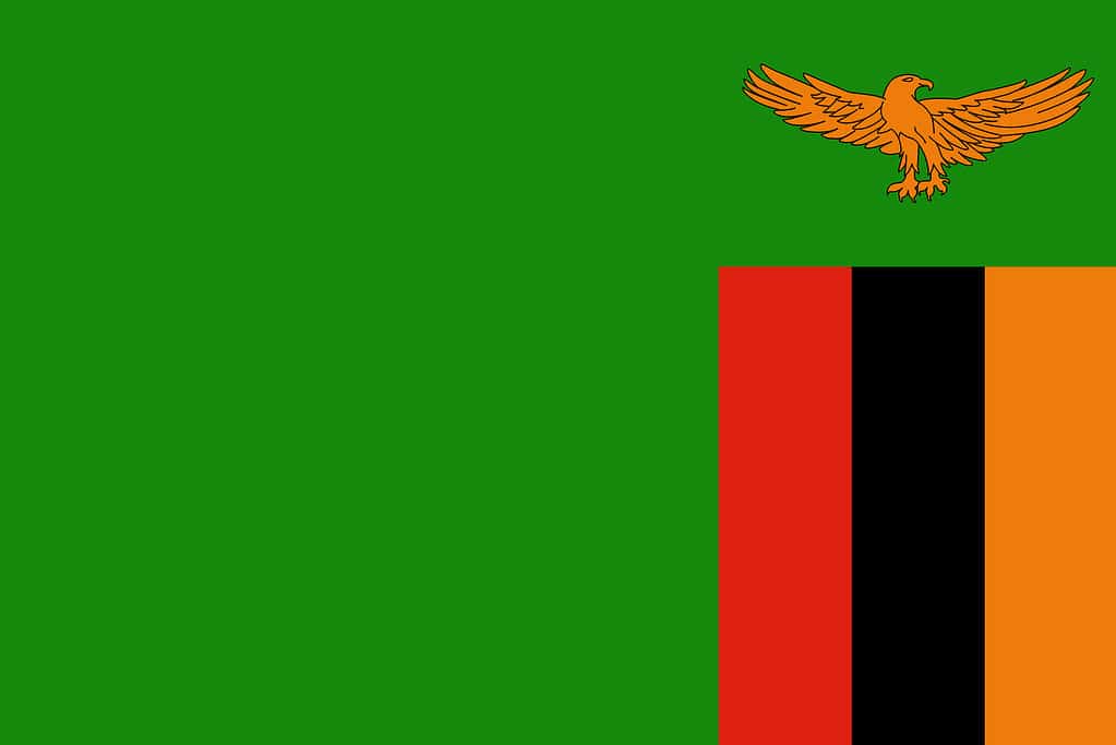 Official vector flag of Zambia