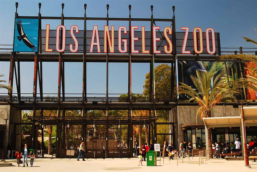 Lối vào sở thú Los Angeles