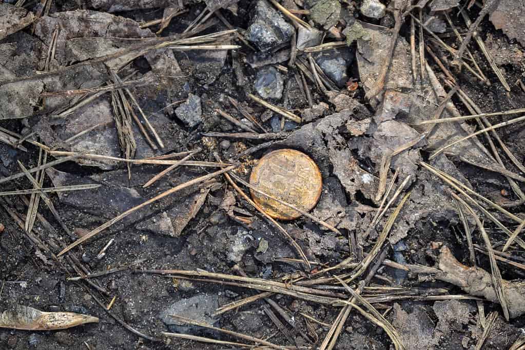 Old gold coin found in ground