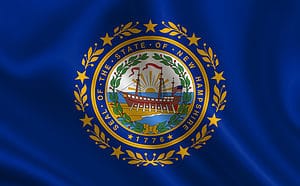 The Flag Of New Hampshire: History, Meaning, And Symbolism Picture