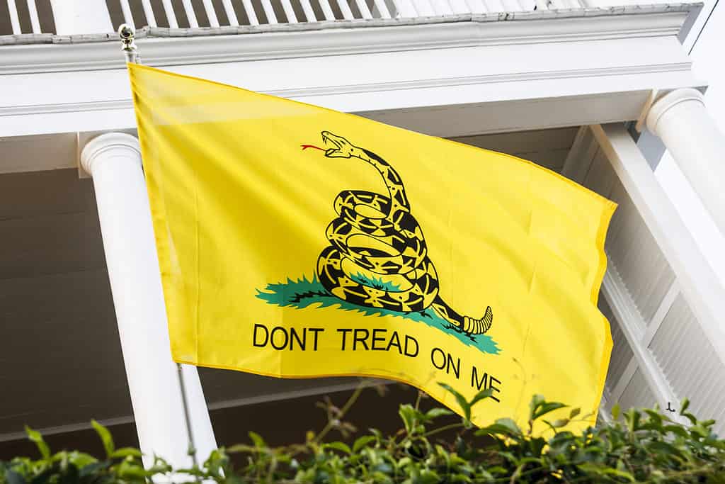 Old yellow flag with snake and Don't Tread on Me slogan