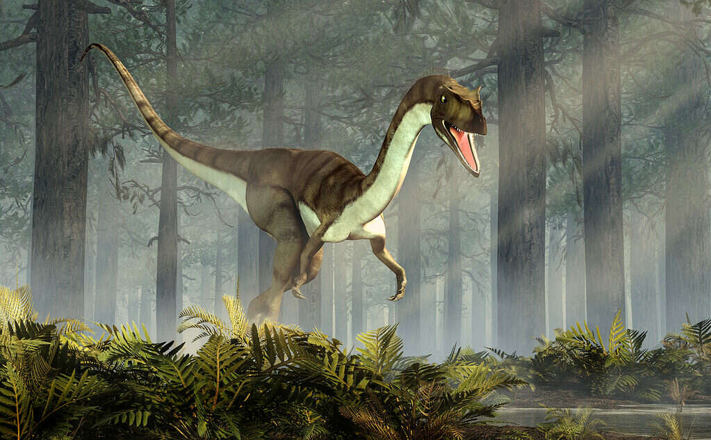 The Coelophysis dinosaur is New Mexico's state fossil