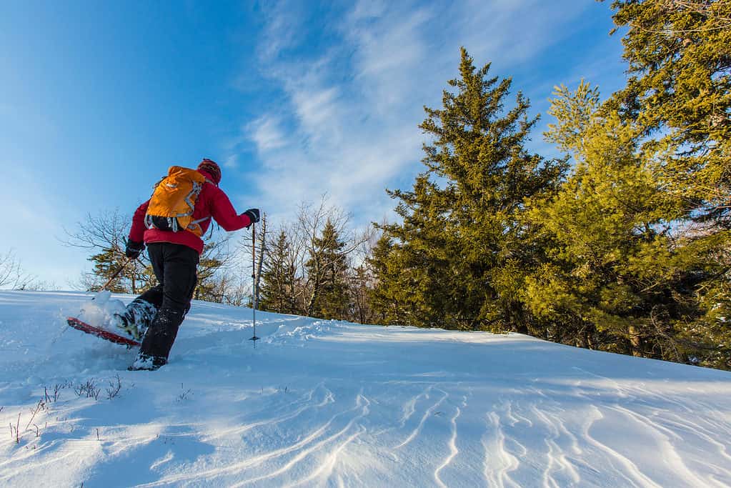 Snowshoeing in New Hampshire