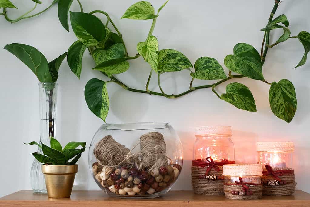 A glass bowl with jute twine and beads in it beside three lit candles glowing with a warm flame. A plant is propagating next to a potted plant, as well as a Pothos plant is vining across the wall.