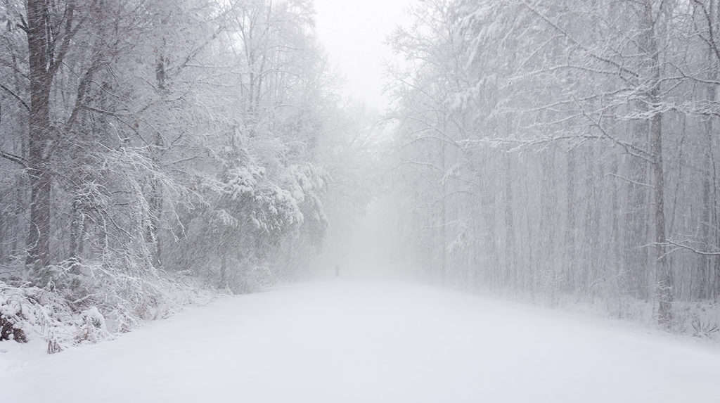 North Carolina blizzard