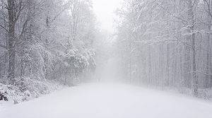 The Biggest March Snowstorm in North Carolina History Picture