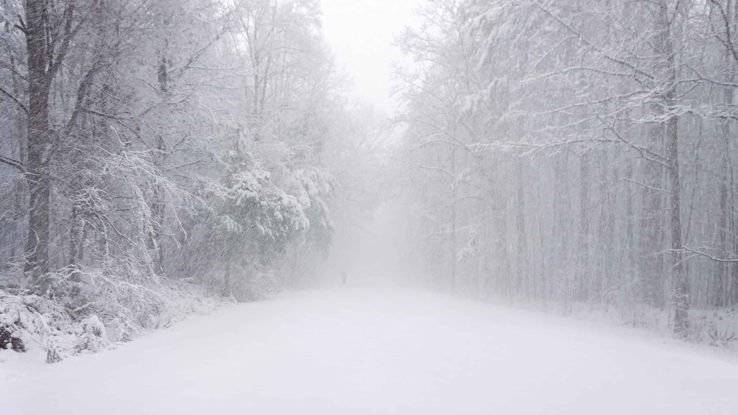 North Carolina blizzard