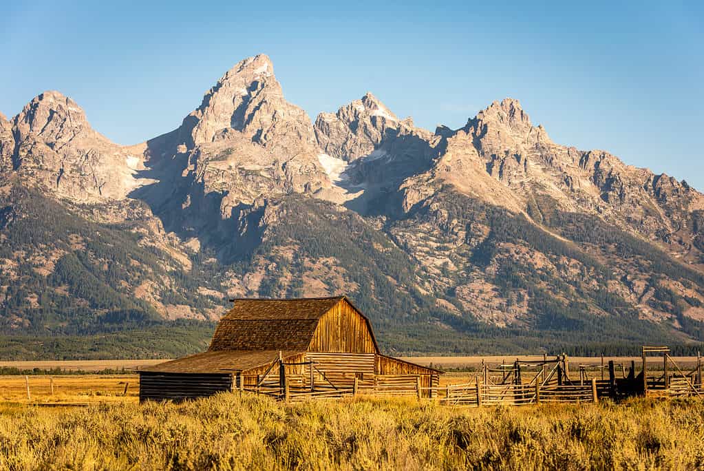 Historic barn in front of the Grand Tetons in Moose, Wyoming