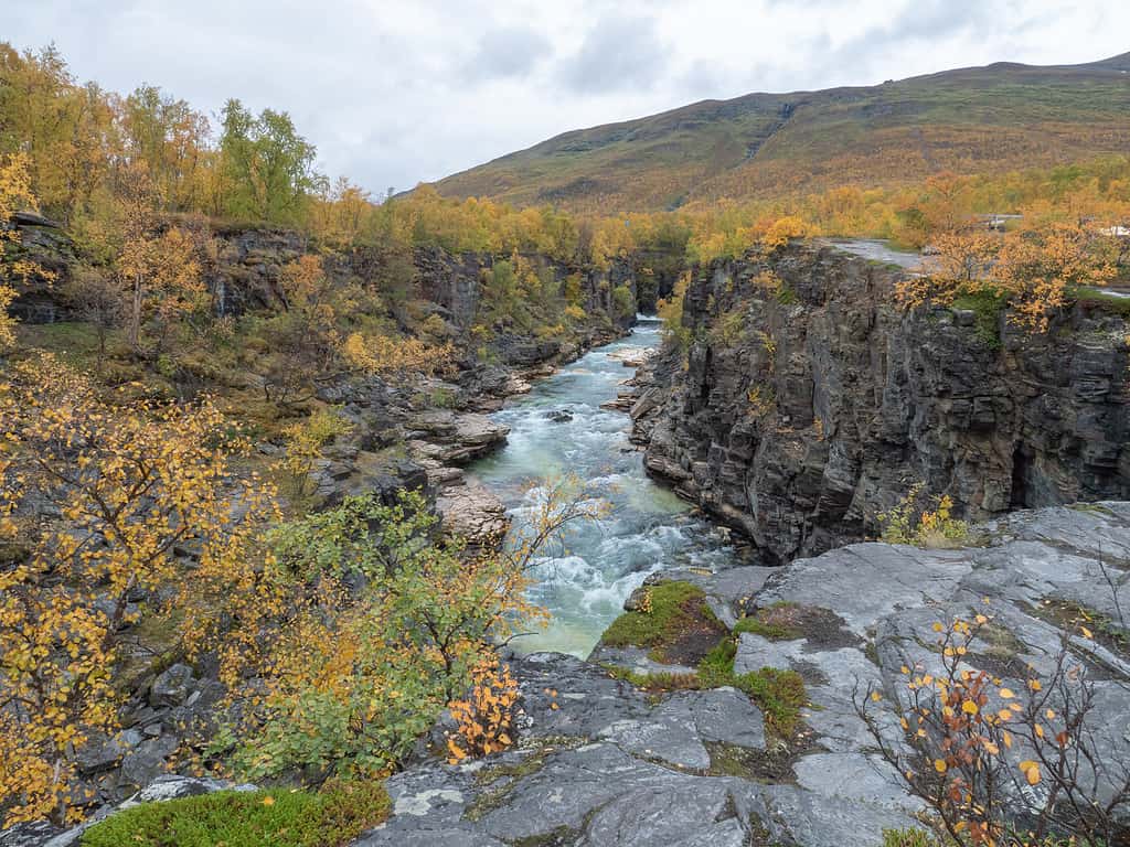 Abisko canyon in Abisko national park, sweden