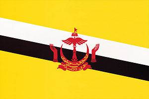 The Flag of Brunei Darussalam: History, Meaning, and Symbolism Picture