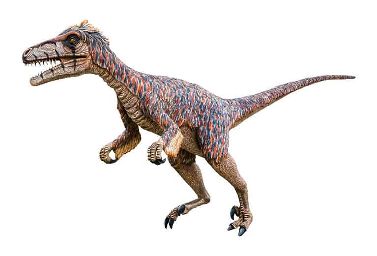 Utahraptor
