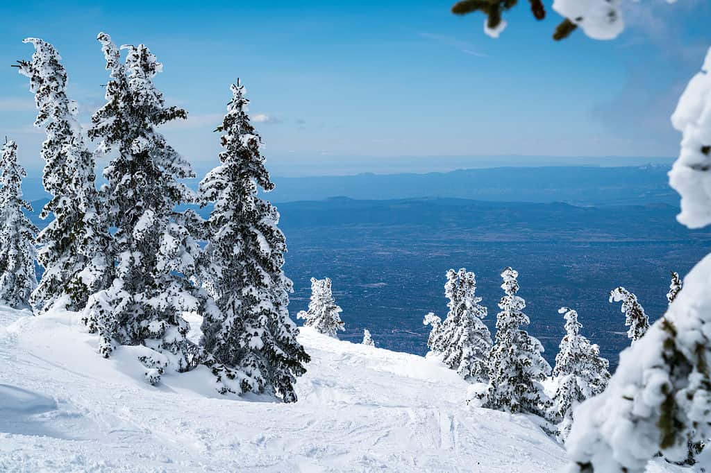 Snow ski mountain in New Mexico