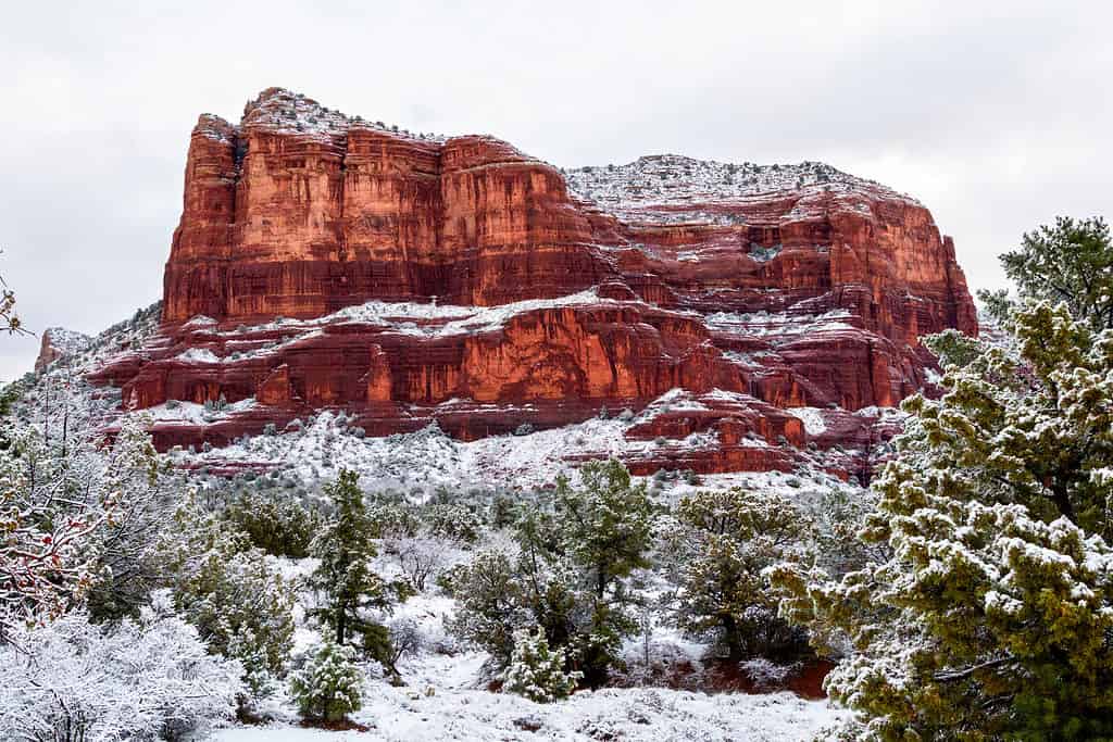 Arizona snow