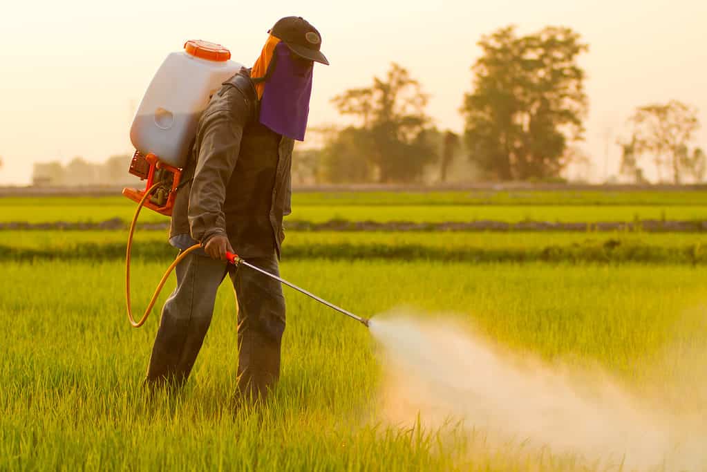 A “farmer” dressed in what amounts to a hazmat suit spraying a herbicide on a green field. He is wearing a plastic container of herbicide on his back and he has a spray wand in his hand out of which a white mist is emitting. The background is more green fields and tree at a distance.