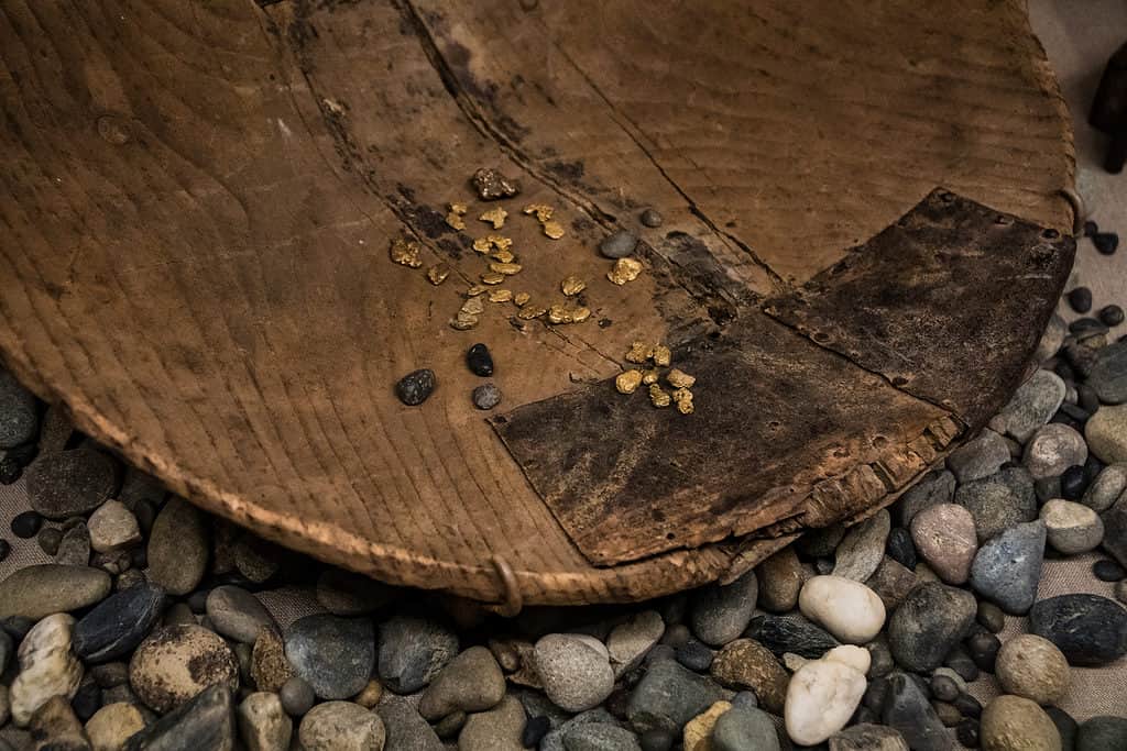 Primitive gold panning equipment with gold nuggets