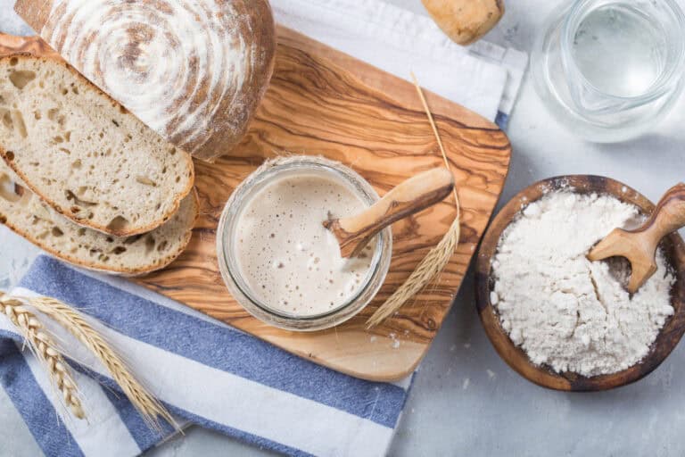 Sourdough dough