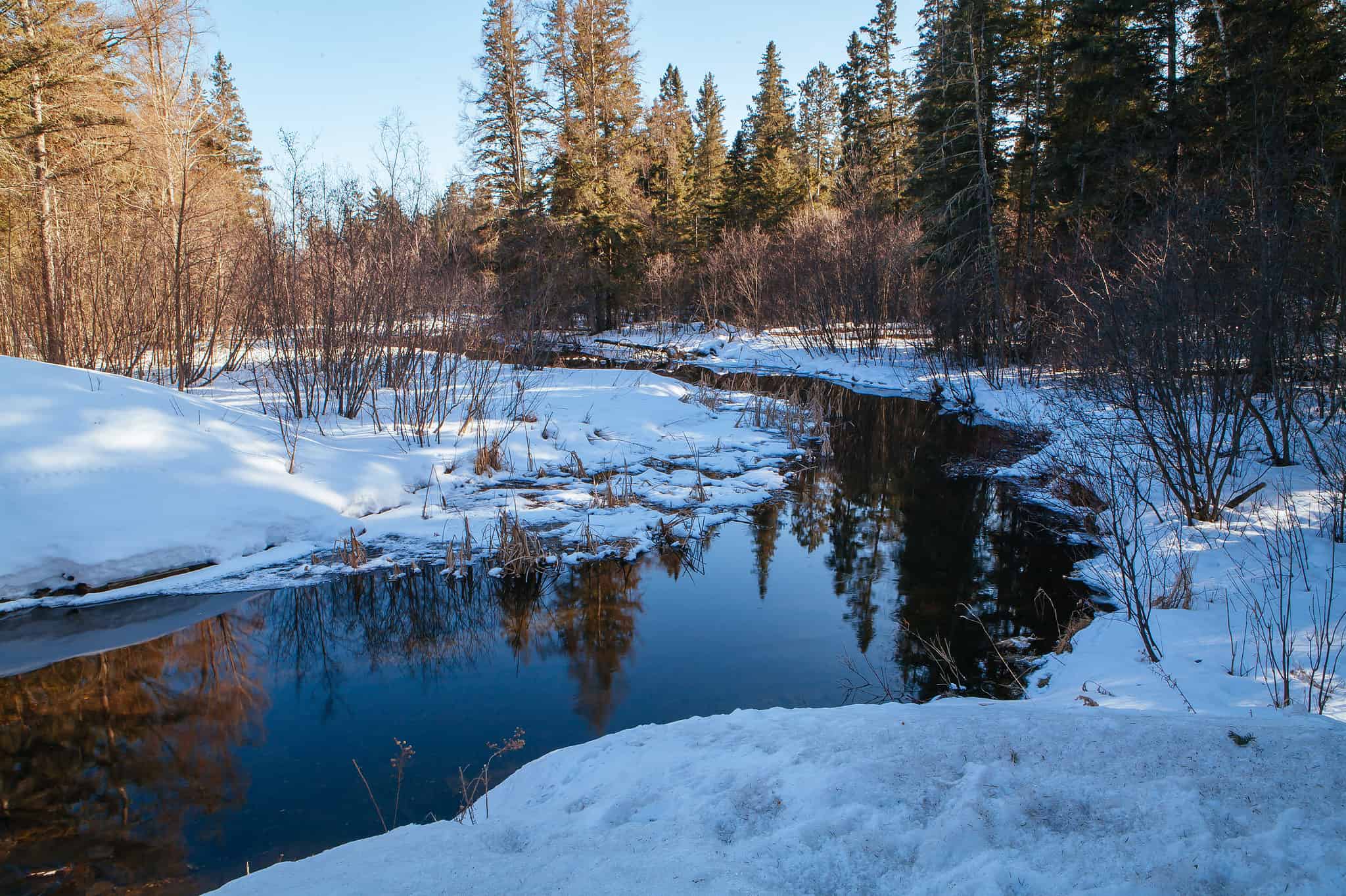 Discover the Snowiest Place Along the Mississippi River - A-Z Animals