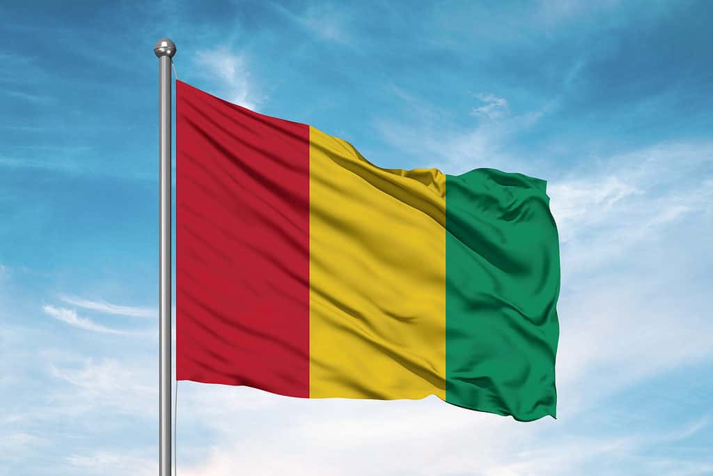 flag of Guinea