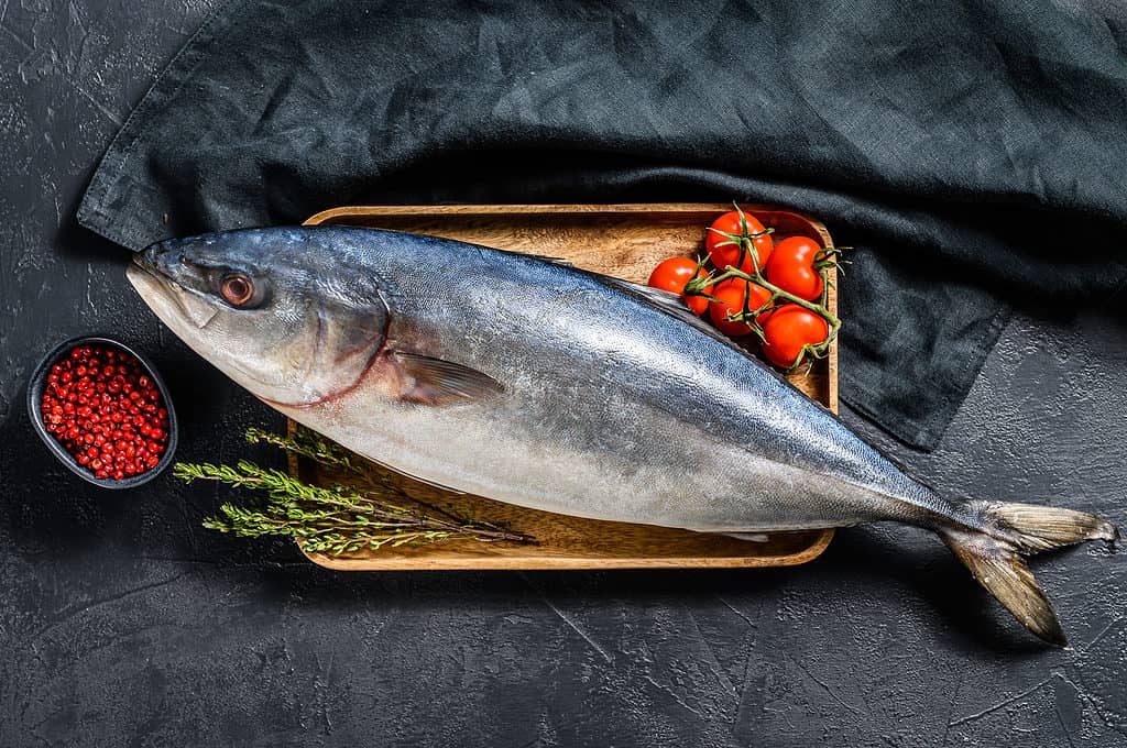 Japanese Amberjack for Cooking