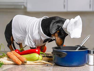 A 13 Human Foods That Are Good for Your Dog