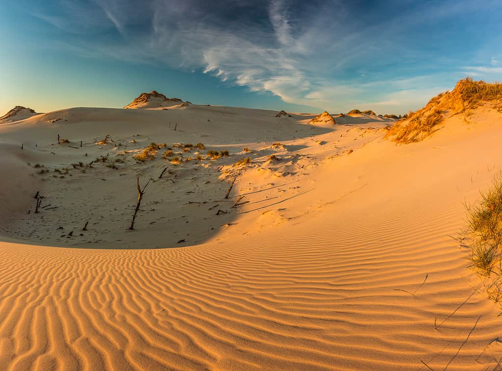 Moving dunes in the Słowiński National Park