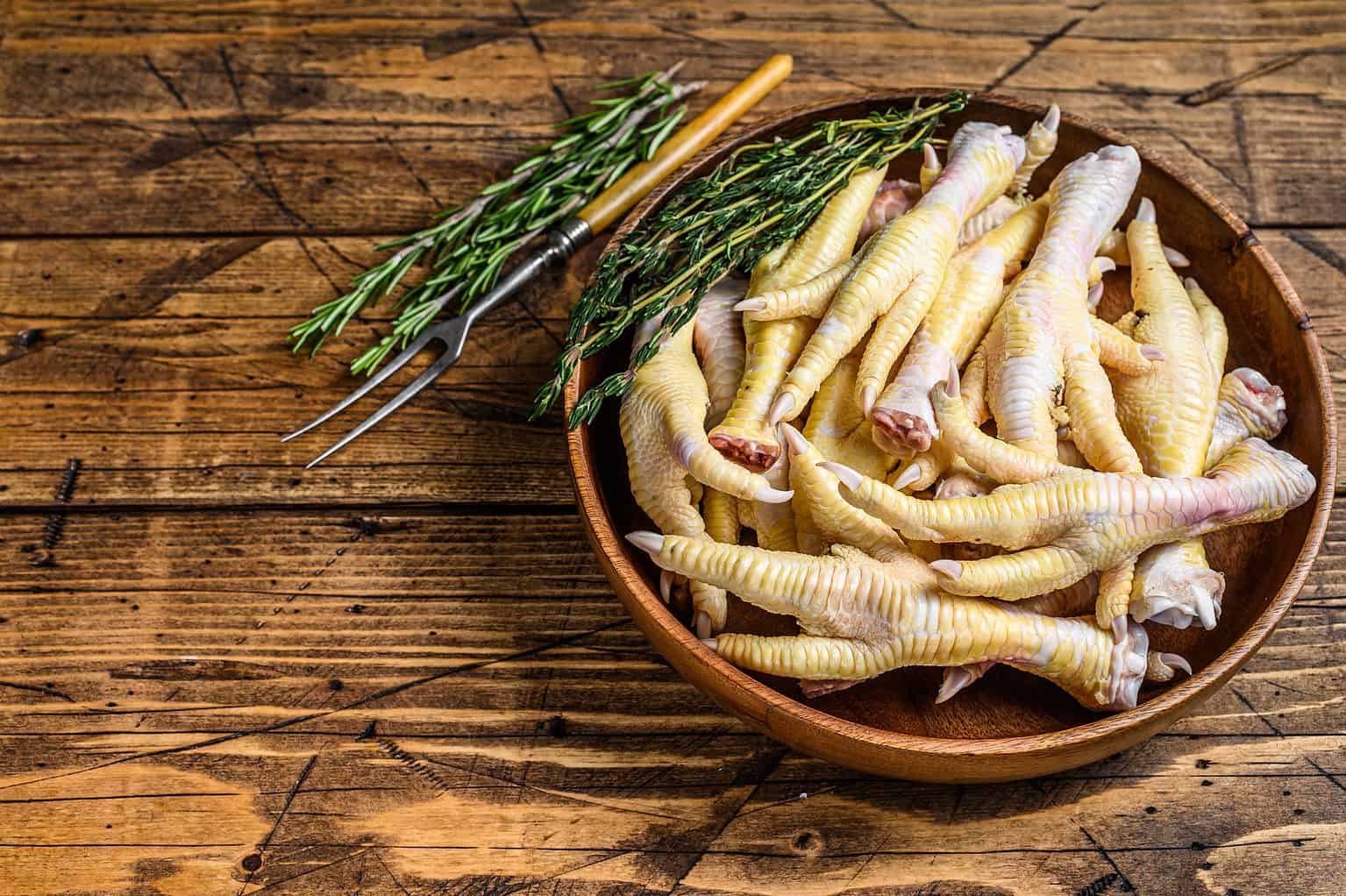 Can Cats Eat Raw Chicken? 6 Things to Know Before Feeding AZ Animals