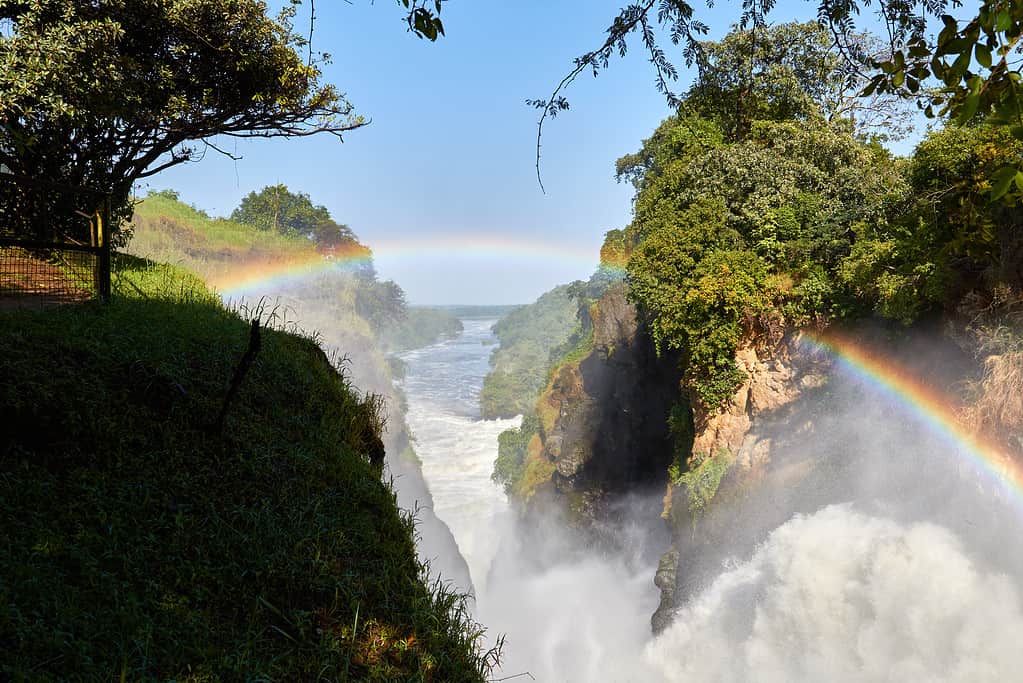Murchison falls national Park