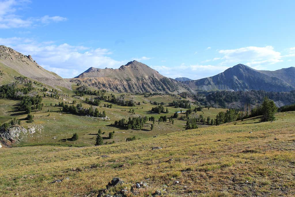 Beaverhead-Deerlodge National Forest in Montana