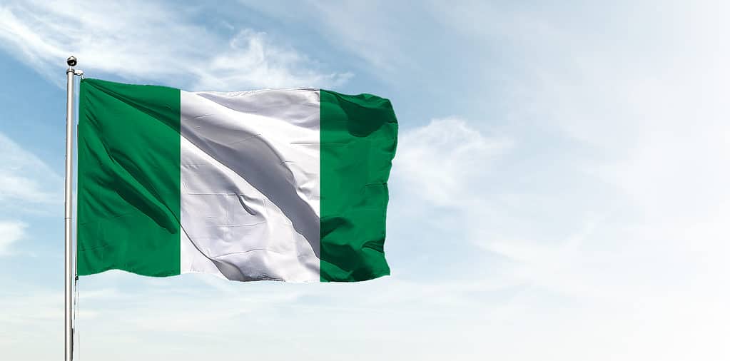 the flag of Nigeria