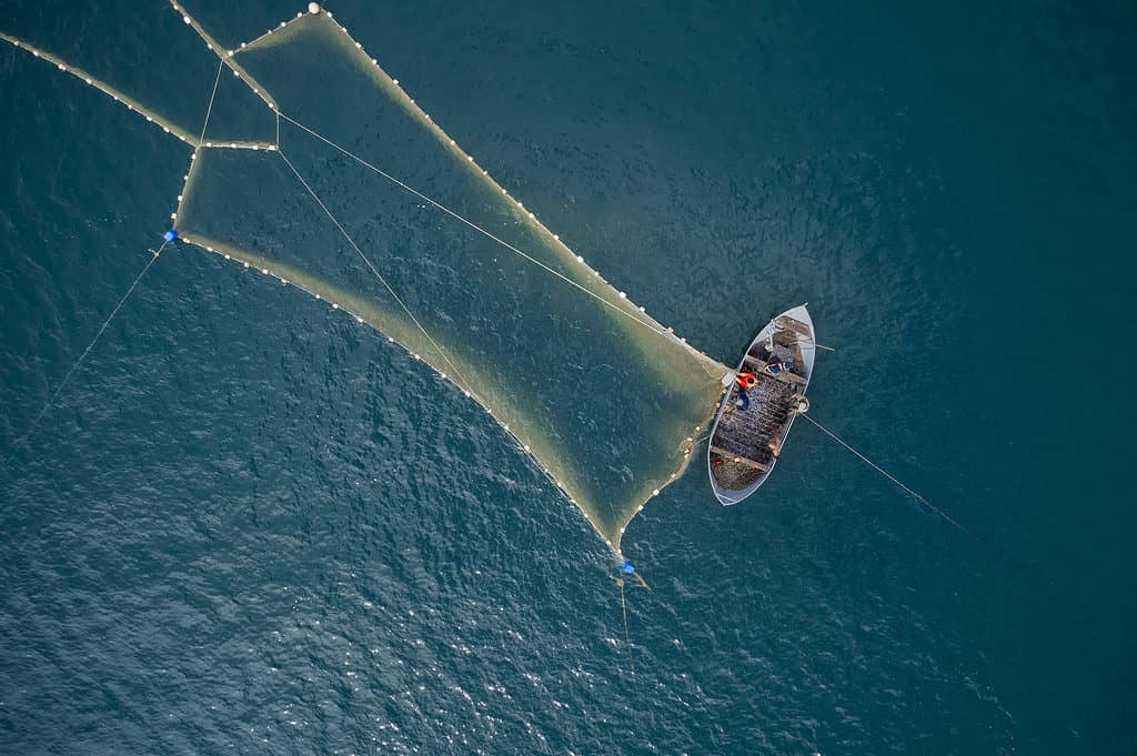 A fisherman on a fishing boat is casting a net for catching fish.