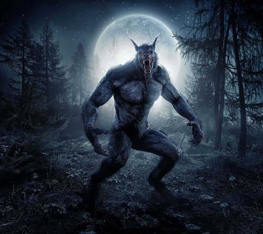 werewolf