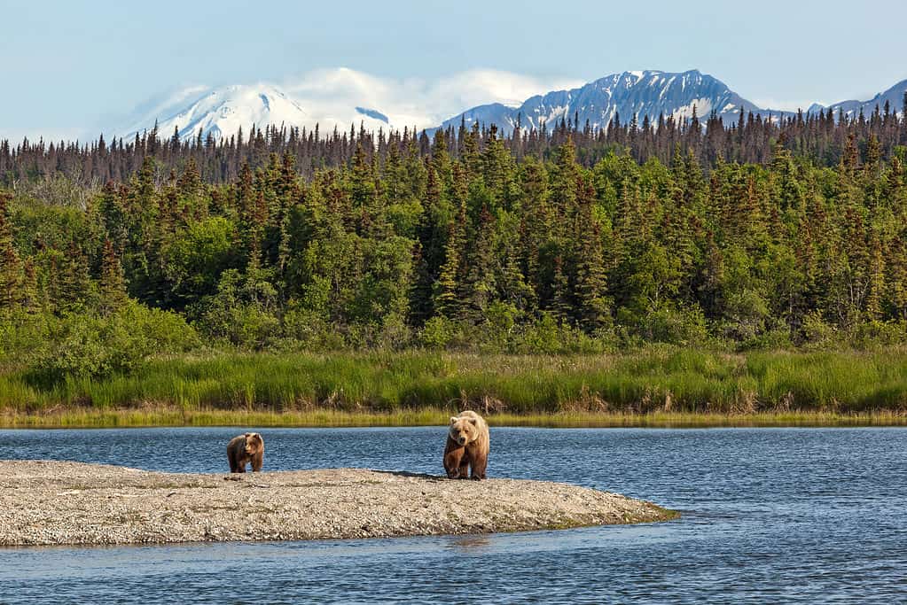 Katmai National Park, Alaska