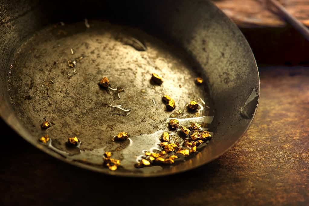 Gold nuggets, gold panning