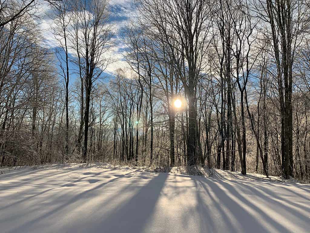 Blue Ridge Mountains in Asheville North Carolina under snow