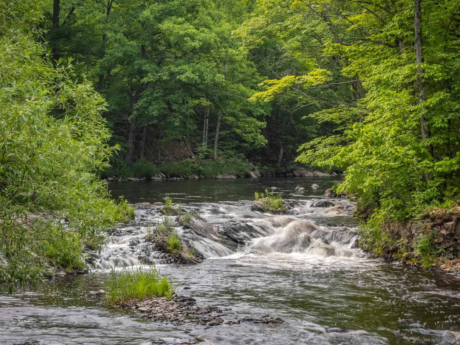 Discover the Snowiest Place in Wisconsin - A-Z Animals