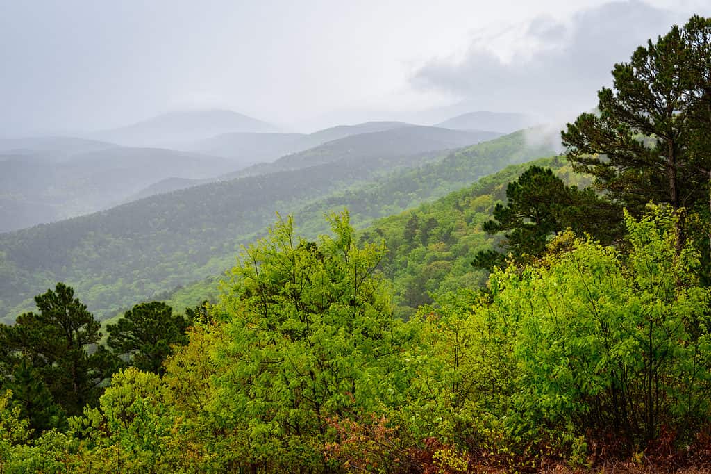 A few small crystals picked from Crystal Vista, Arkansas. - Picture of  Crystal Vista, Mount Ida - Tripadvisor