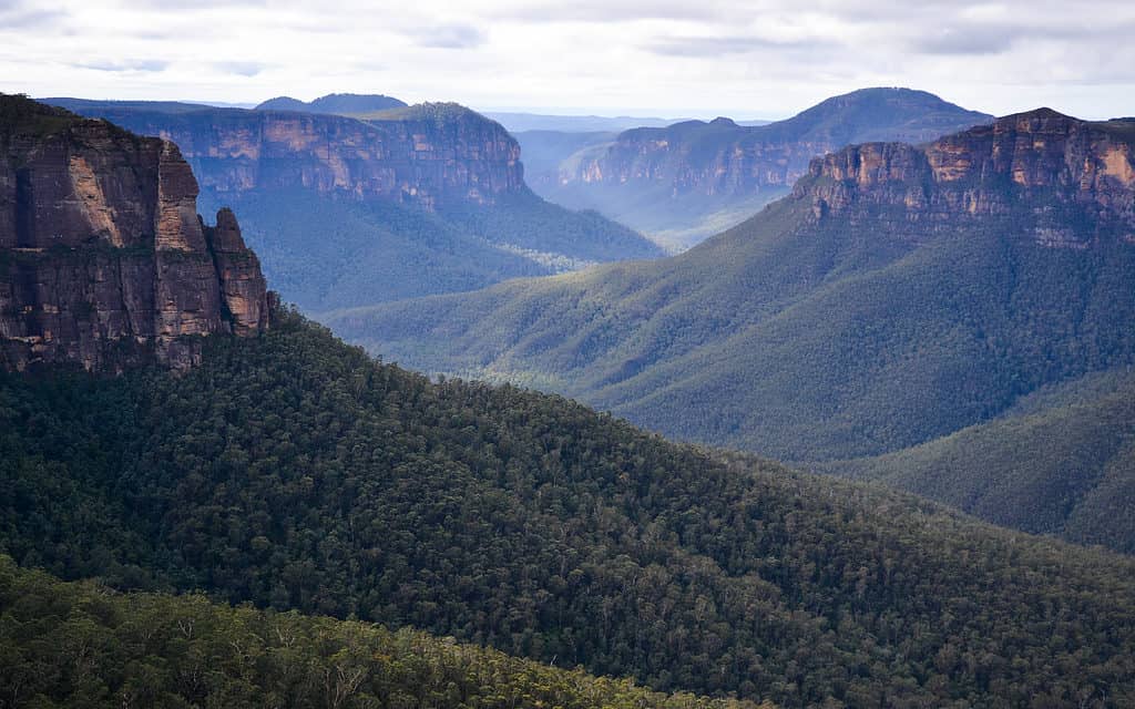 Blue mountains in Australia