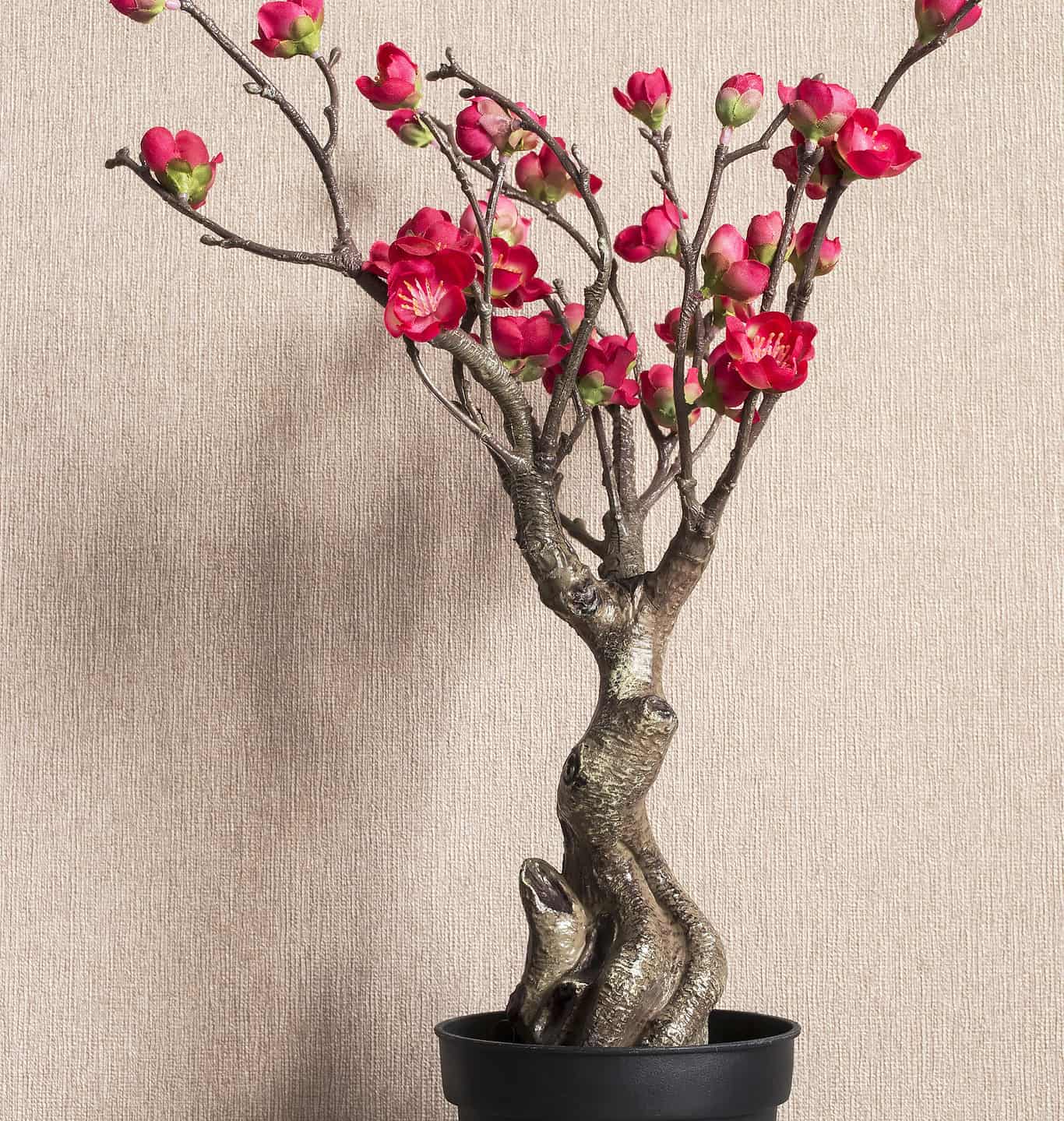 Cherry Blossom Bonsai Care Guide, Propagation Tips, and More