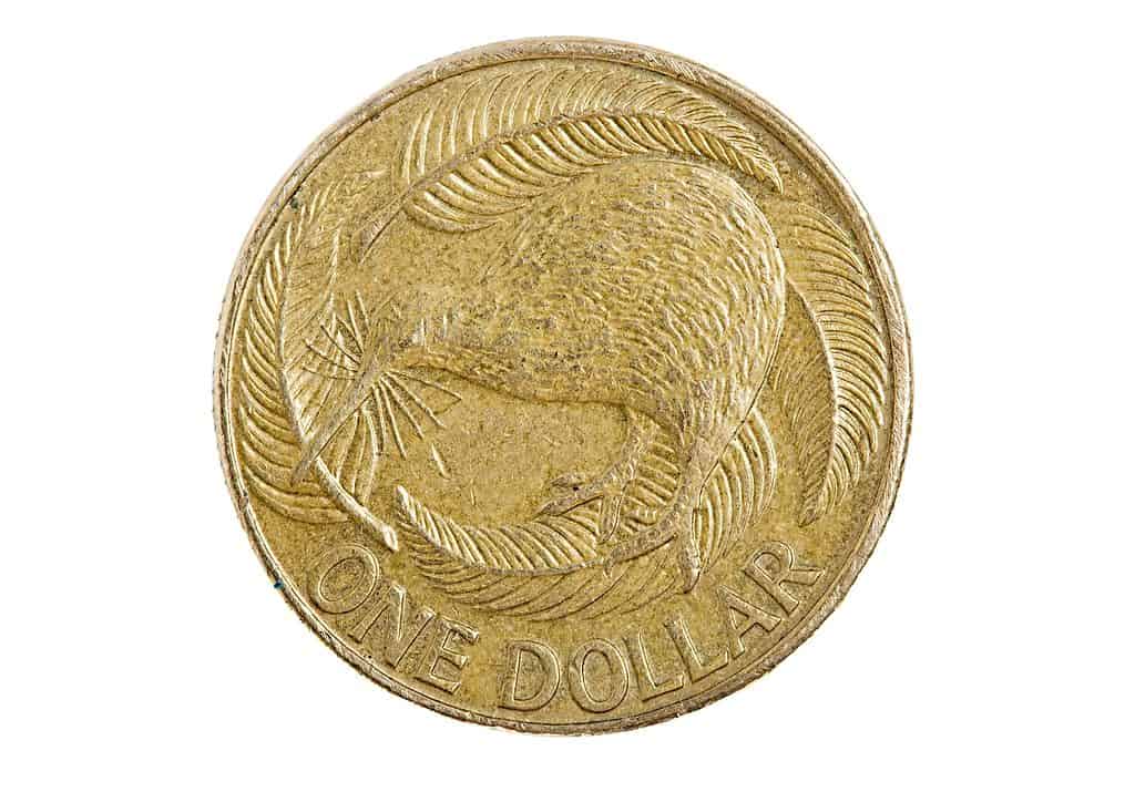 Kiwi dollar coin