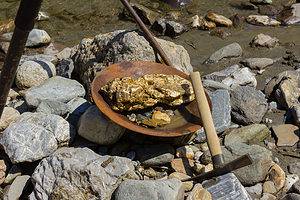 Discover the Largest Gold Nugget Ever Found in California Picture