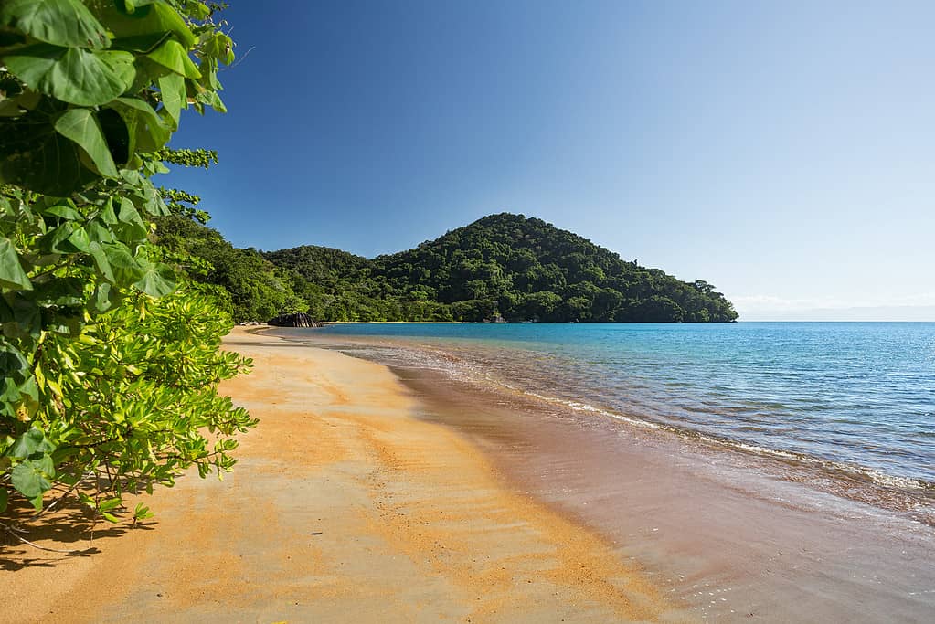 Beautiful dream paradise beach in Masoala national park, Madagascar. Blue sky and clear sea, Wilderness virgin nature scene